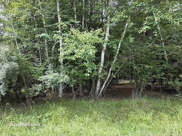 0.32 Acres of Residential Land for Sale in Gladwin, Michigan