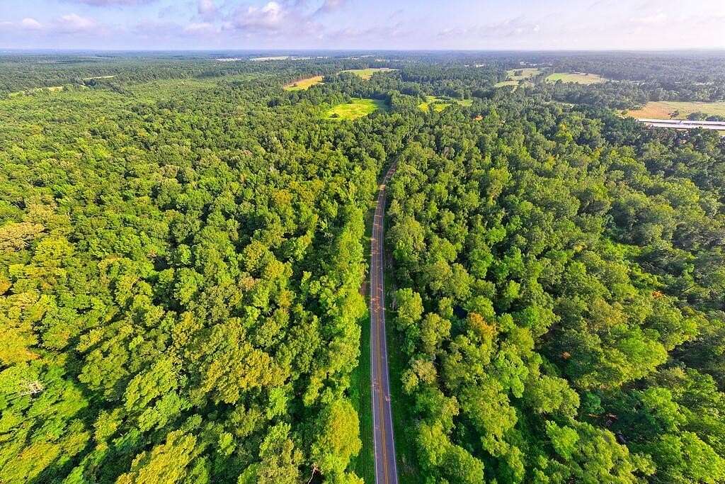 200 Acres of Recreational Land for Sale in Tenaha, Texas