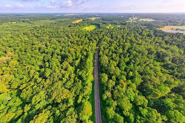 200 Acres of Recreational Land for Sale in Tenaha, Texas