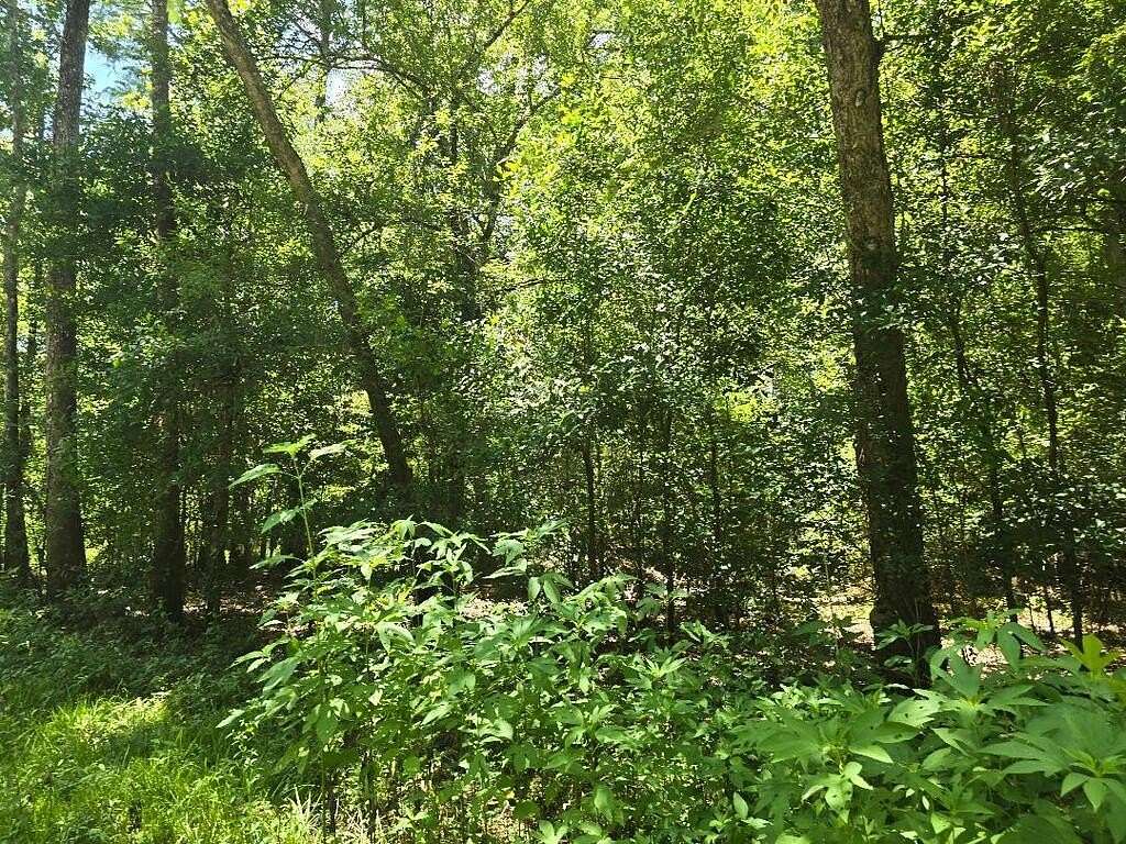 5.37 Acres of Residential Land for Sale in Orange, Texas