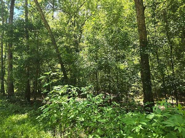 5.37 Acres of Residential Land for Sale in Orange, Texas
