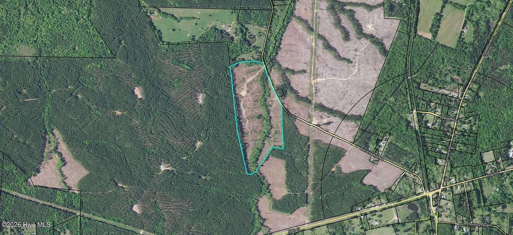 50 Acres of Recreational Land for Sale in Crawfordville, Georgia