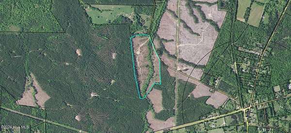 50 Acres of Recreational Land for Sale in Crawfordville, Georgia