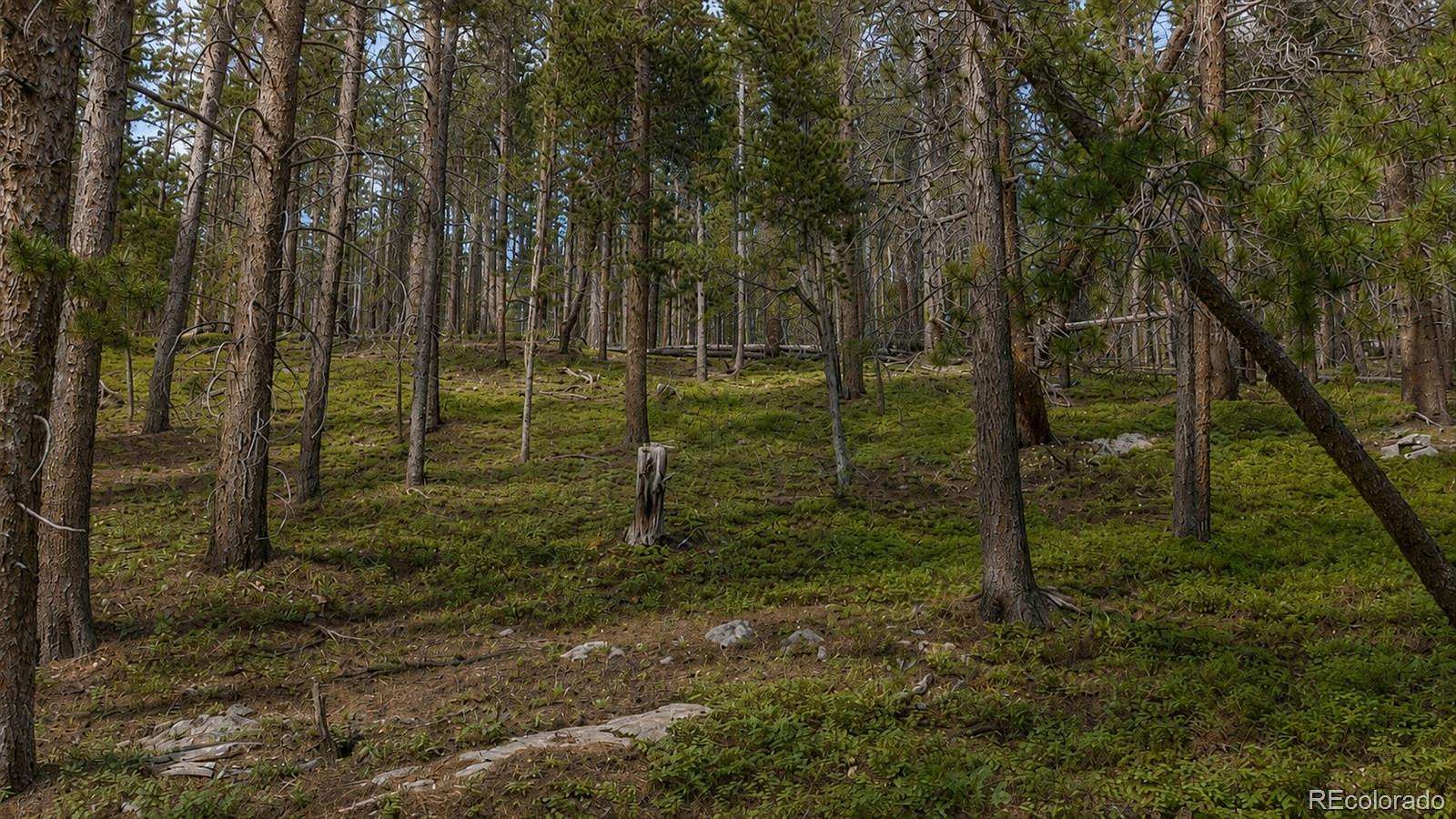0.33 Acres of Residential Land for Sale in Idaho Springs, Colorado