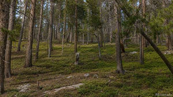 0.33 Acres of Residential Land for Sale in Idaho Springs, Colorado