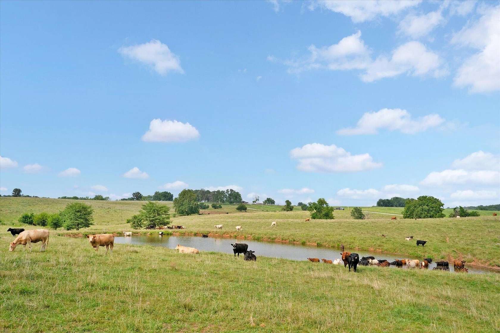225 Acres of Agricultural & Residential Land for Sale in Walnut Grove, Missouri