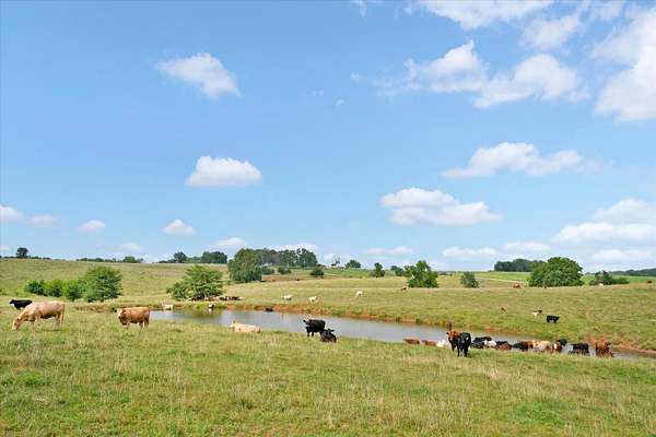 225 Acres of Agricultural & Residential Land for Sale in Walnut Grove, Missouri