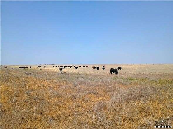 160 Acres of Land for Sale in Walsh, Colorado