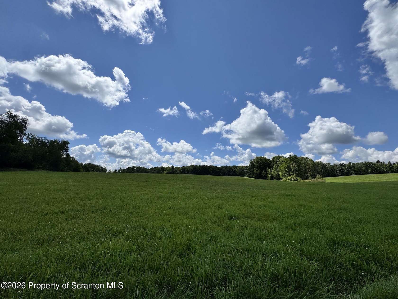 29.1 Acres of Recreational & Residential Land for Sale in Susquehanna, Pennsylvania