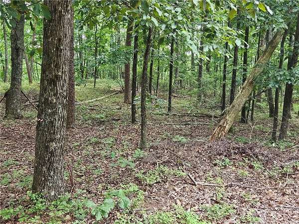 1.19 Acres of Residential Land for Sale in Ranger, Georgia