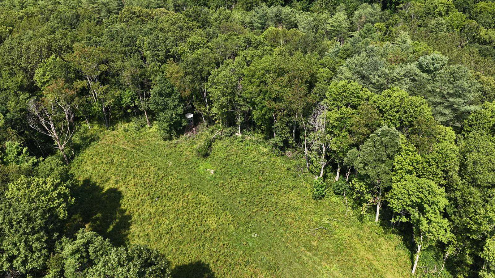 56 Acres of Recreational & Residential Land for Sale in Corning, Ohio