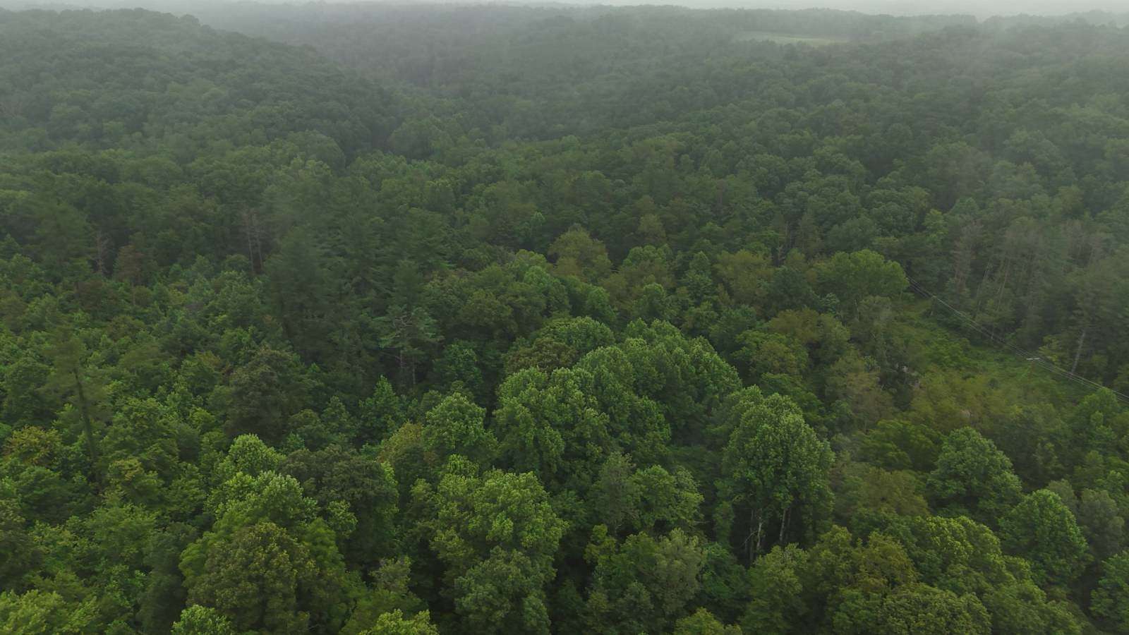 26 Acres of Recreational Land for Sale in Logan, Ohio
