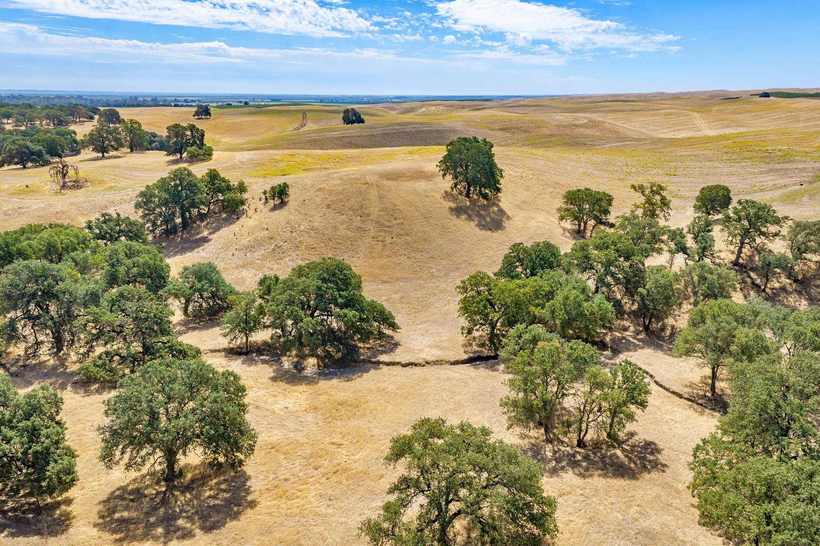 650 Acres of Land for Sale in Dunnigan, California