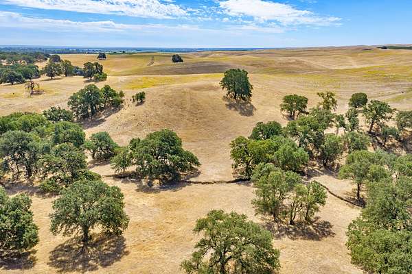 650 Acres of Land for Sale in Dunnigan, California