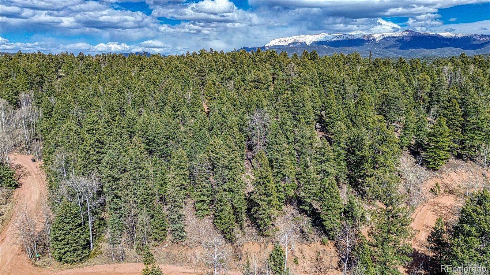 0.56 Acres of Residential Land for Sale in Florissant, Colorado