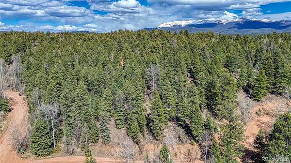 0.56 Acres of Residential Land for Sale in Florissant, Colorado