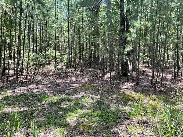 10 Acres of Recreational Land for Sale in Moyers, Oklahoma