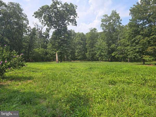21.9 Acres of Agricultural Land with Home for Sale in Pittsgrove Township, New Jersey