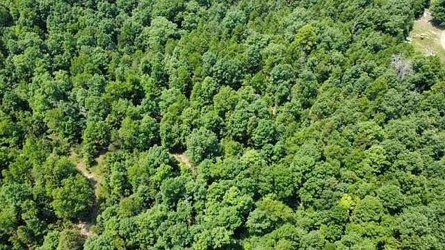 17.2 Acres of Recreational & Residential Land for Sale in Birch Tree, Missouri