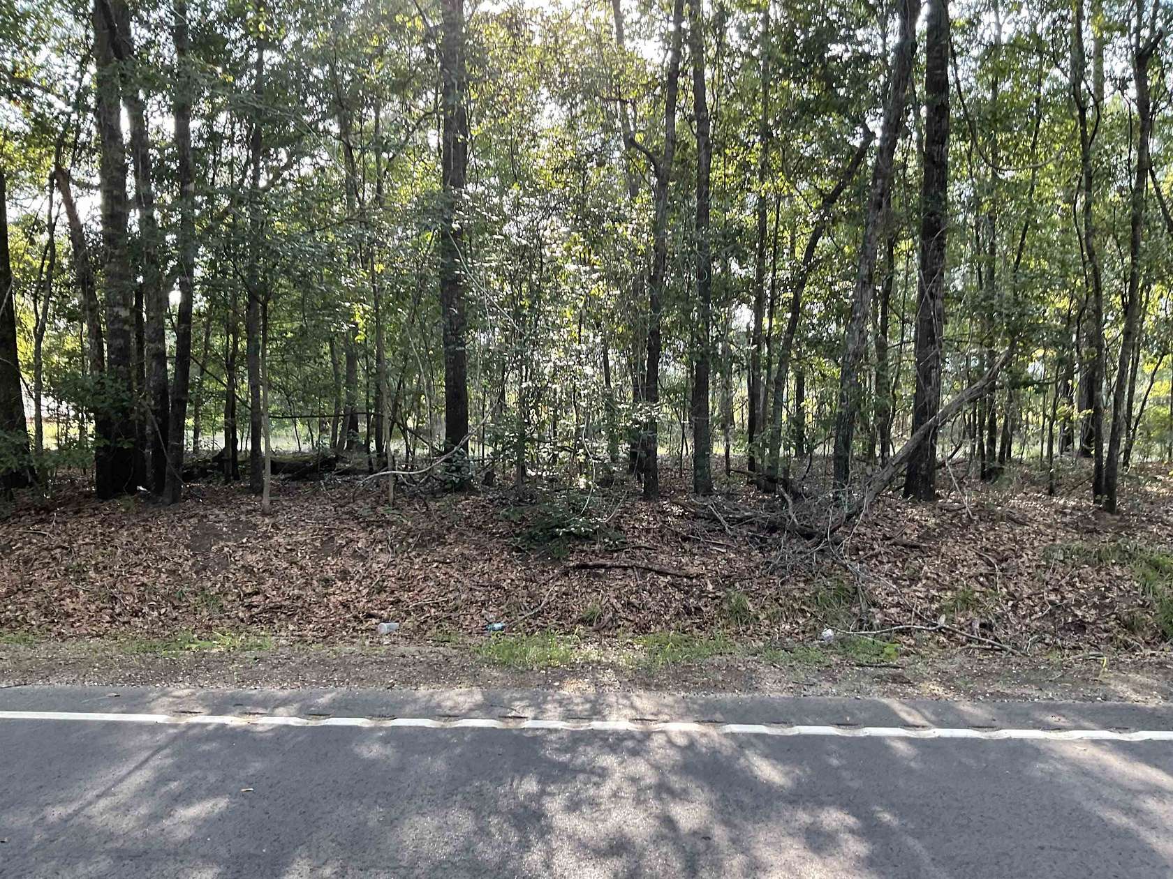 0.58 Acres of Residential Land for Sale in Georgetown, South Carolina