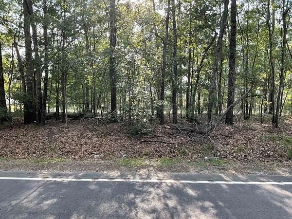 0.58 Acres of Residential Land for Sale in Georgetown, South Carolina