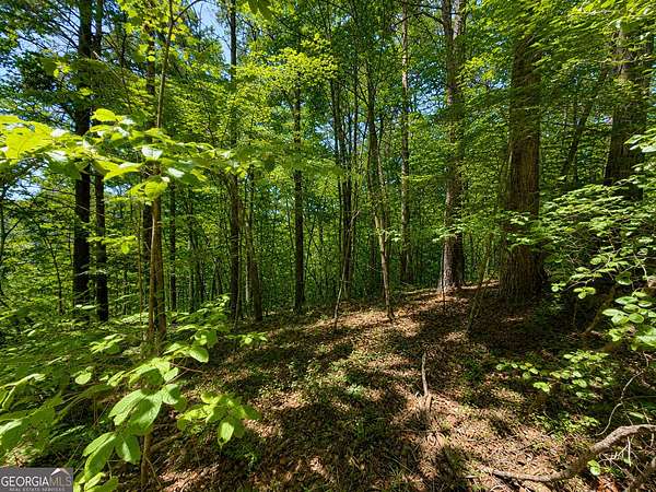1.62 Acres of Residential Land for Sale in Talking Rock, Georgia