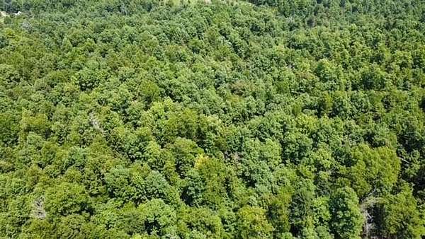11.2 Acres of Recreational & Residential Land for Sale in Birch Tree, Missouri