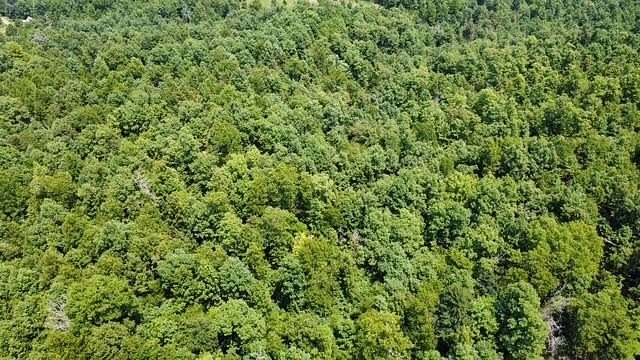 30.8 Acres of Recreational & Residential Land for Sale in Birch Tree, Missouri