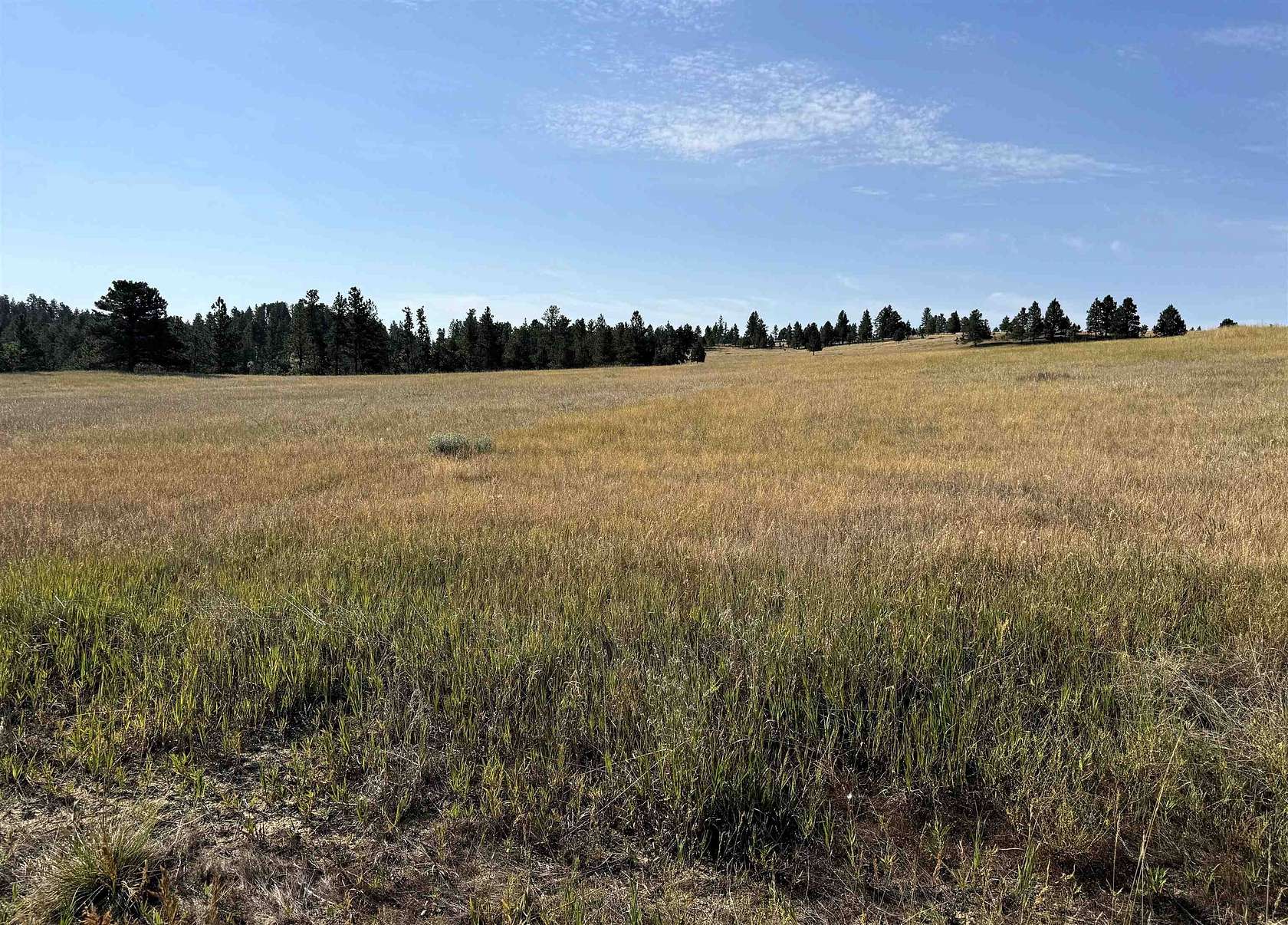 36.4 Acres of Land for Sale in Hulett, Wyoming