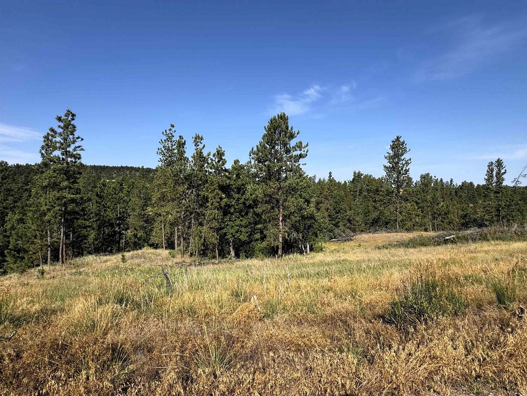 36 Acres of Agricultural & Residential Land for Sale in Hulett, Wyoming