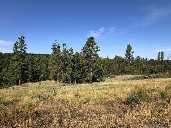 36 Acres of Agricultural & Residential Land for Sale in Hulett, Wyoming