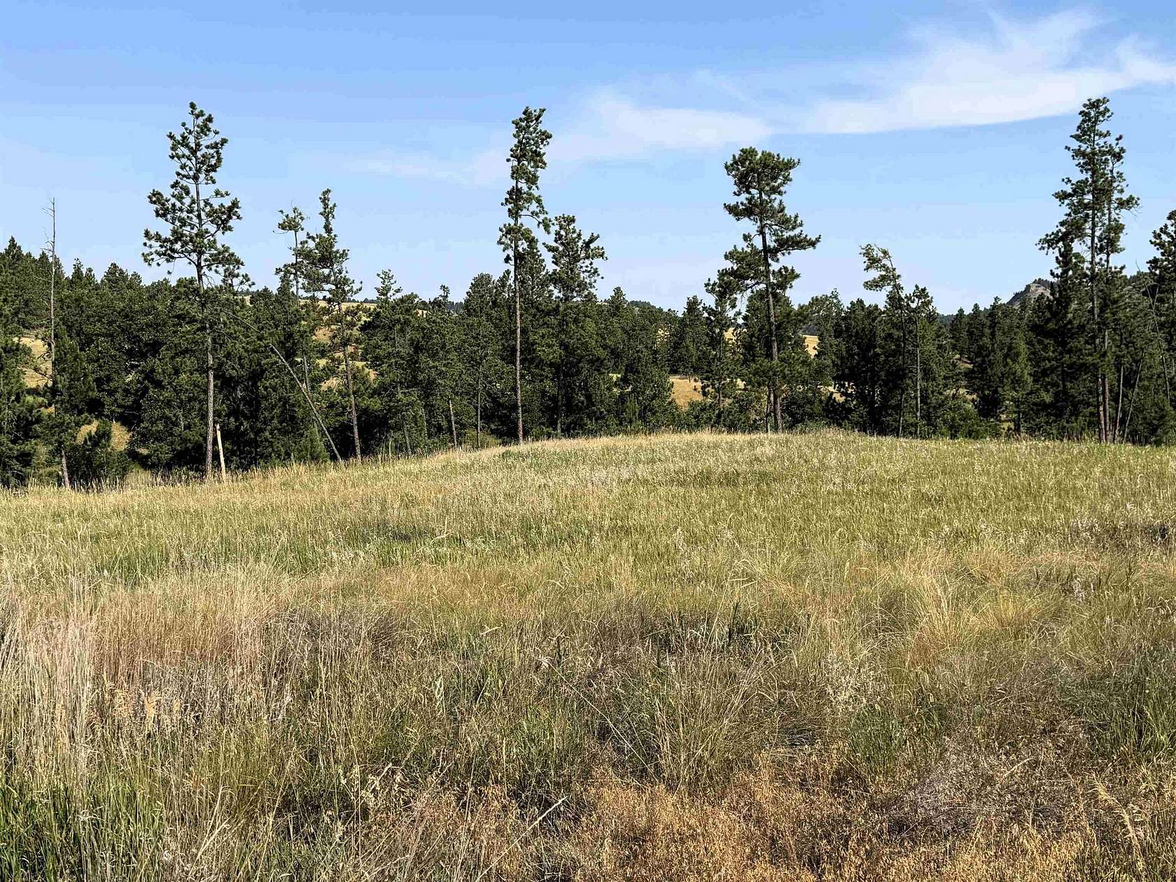 36.6 Acres of Land for Sale in Hulett, Wyoming