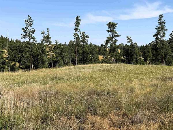 36.6 Acres of Land for Sale in Hulett, Wyoming