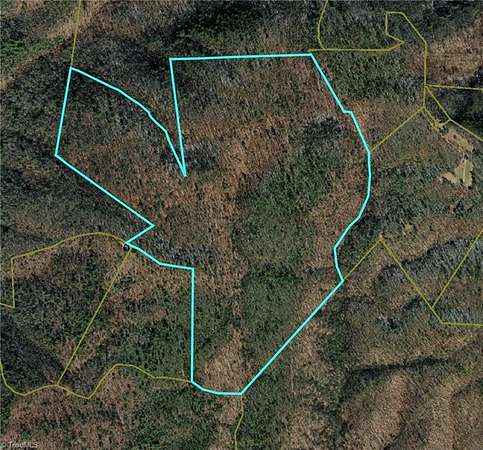 106 Acres of Recreational & Residential Land for Sale in McGrady, North Carolina