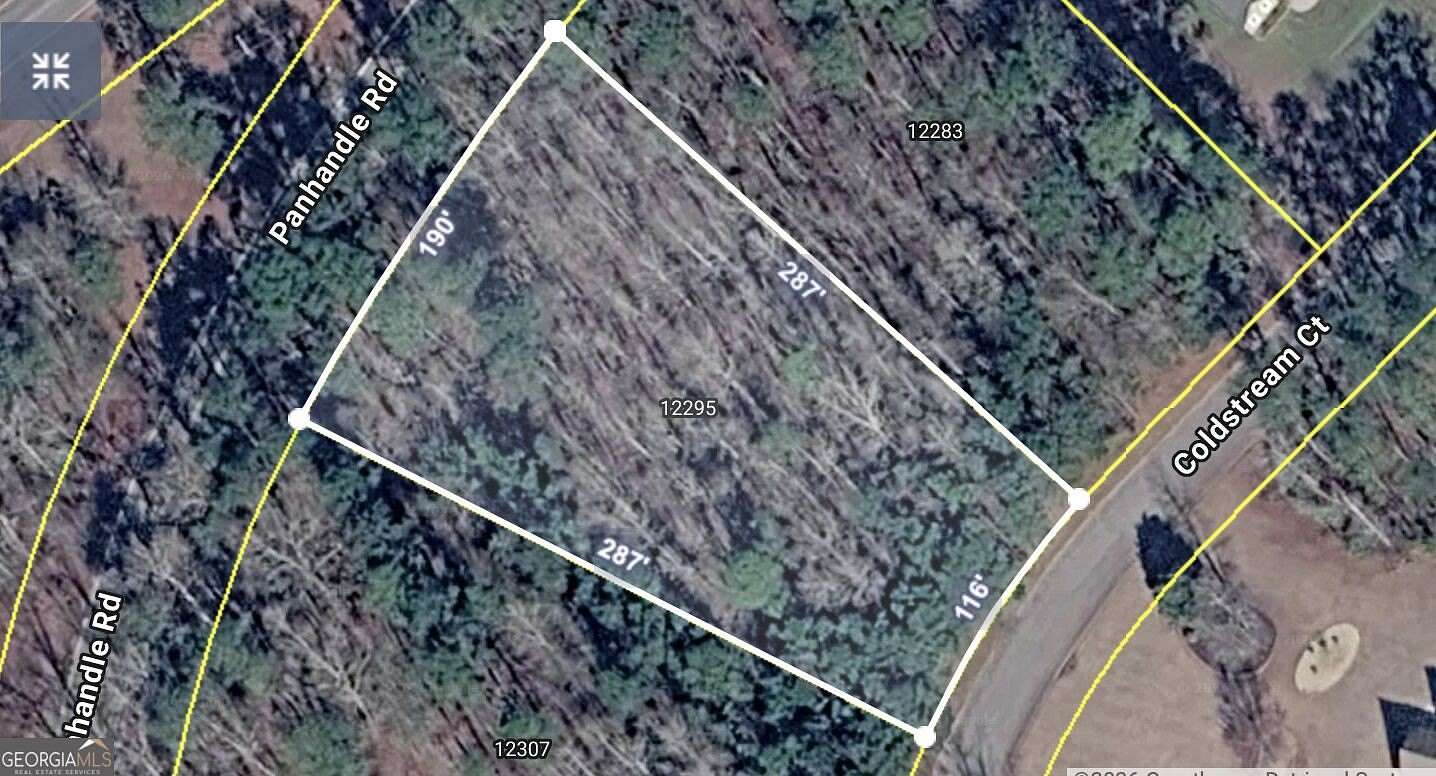 1 Acre of Residential Land for Sale in Hampton, Georgia