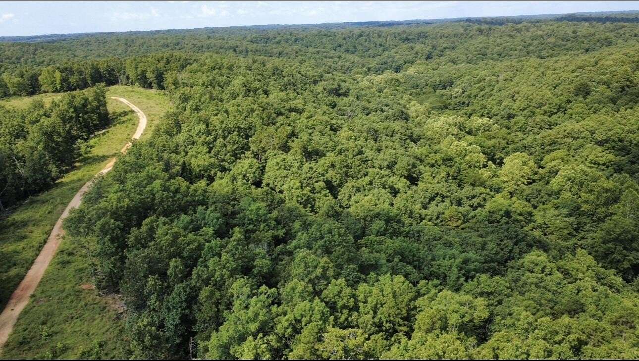 138 Acres of Recreational & Residential Land for Sale in West Plains, Missouri