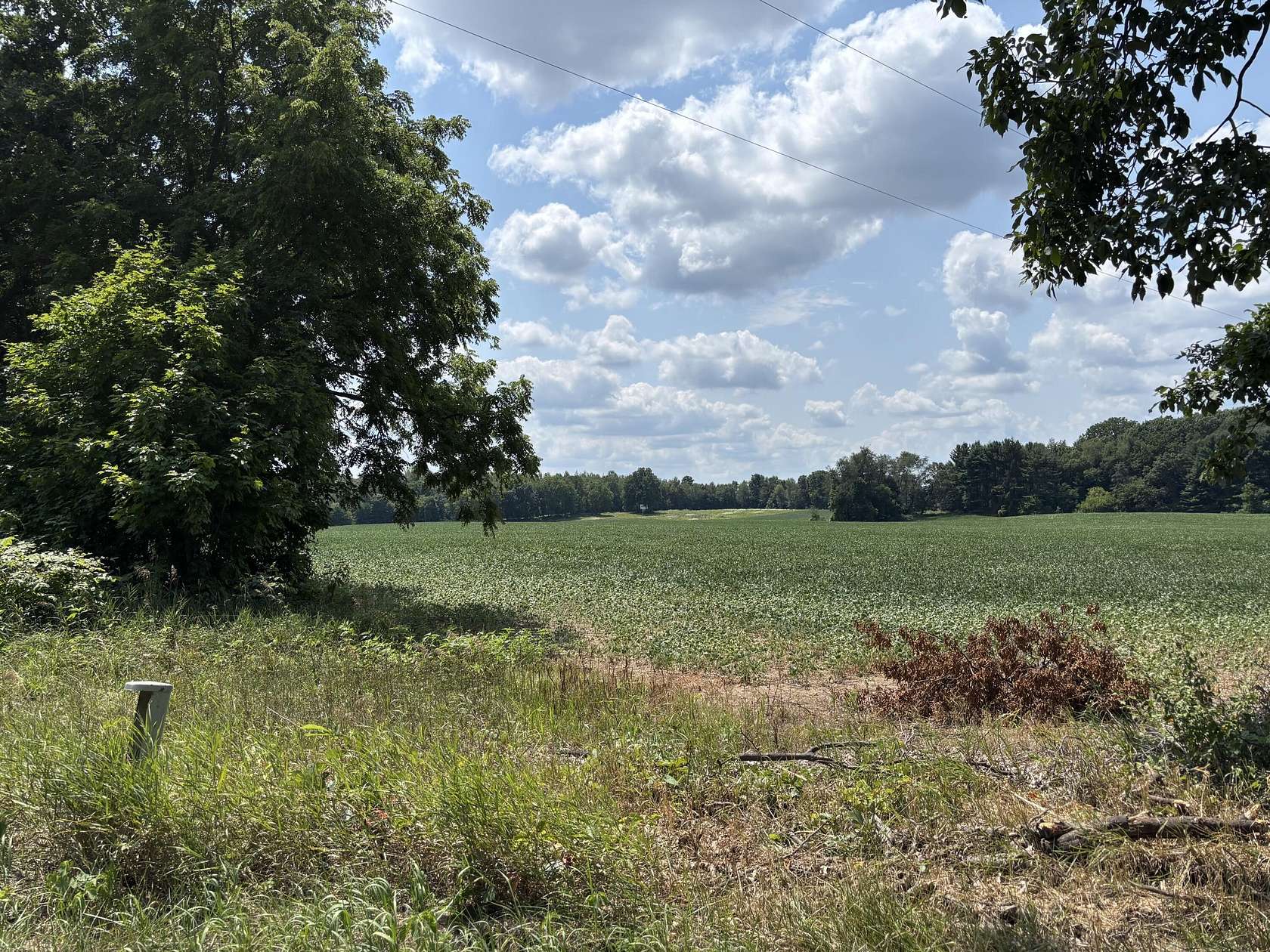 35 Acres of Land for Sale in Grass Lake, Michigan