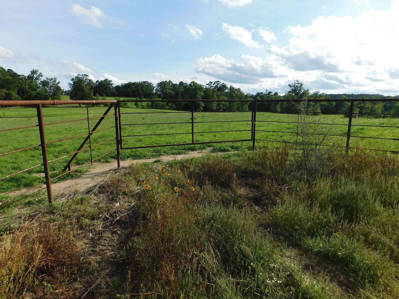 7 Acres of Residential Land for Sale in Big Sandy, Texas