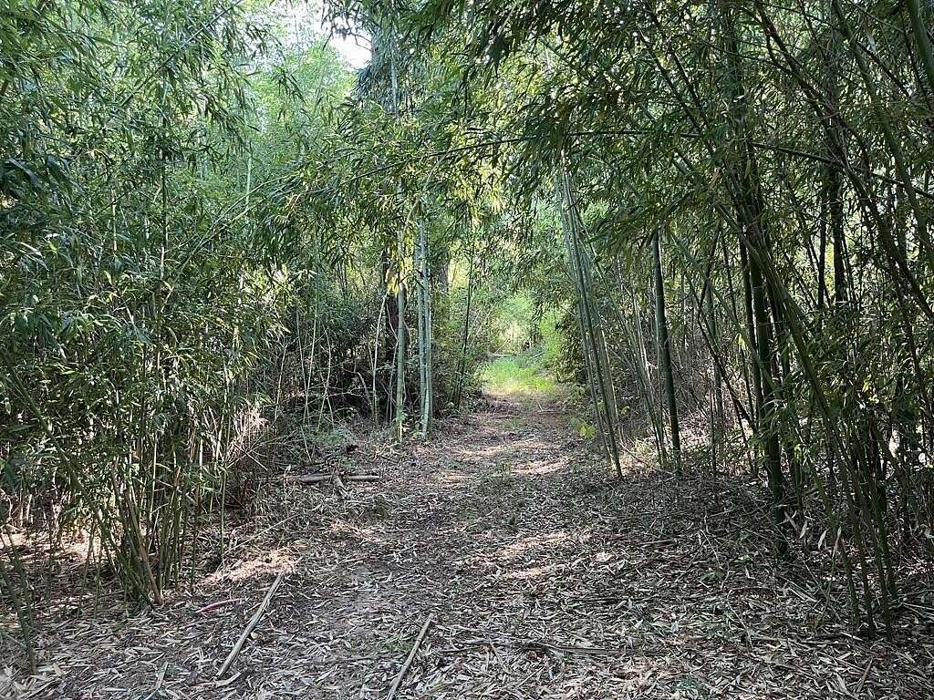 5.6 Acres of Residential Land for Sale in Huntington, Texas