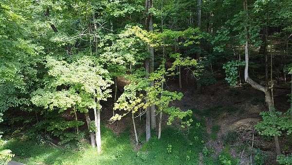 10.3 Acres of Recreational & Residential Land for Sale in Lucasville, Ohio