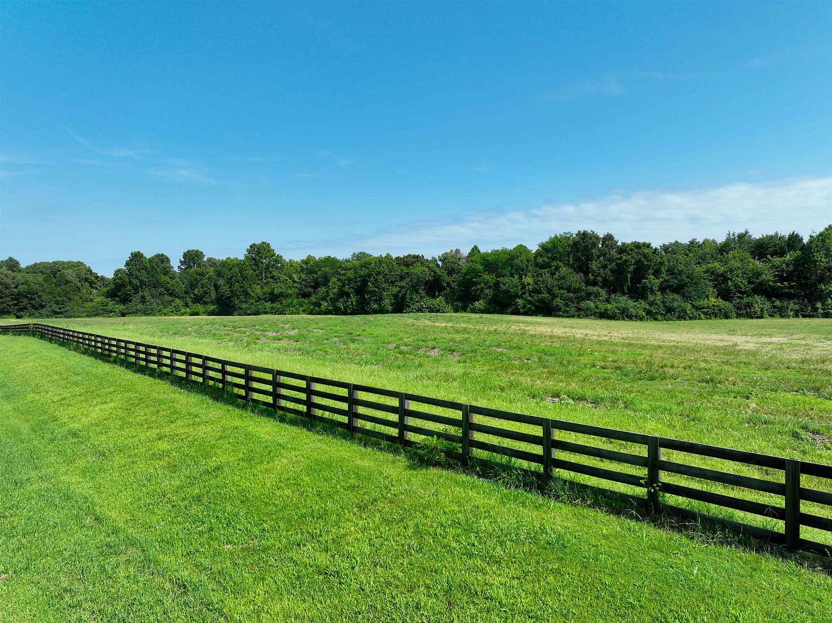 27.9 Acres of Agricultural Land for Sale in Grand Junction, Tennessee