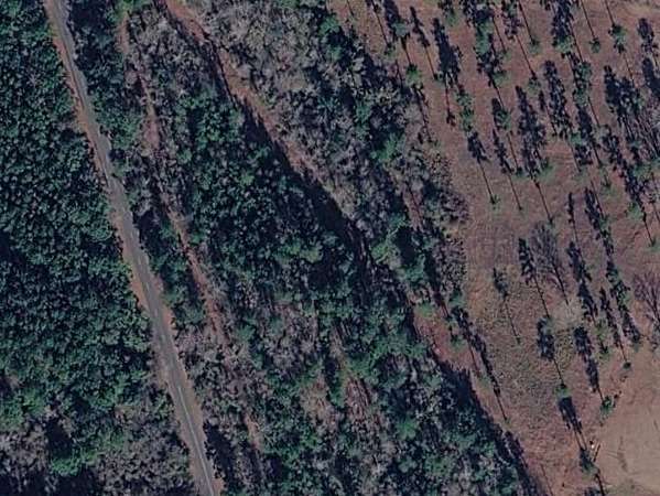 16.5 Acres of Land for Sale in Lanett, Alabama