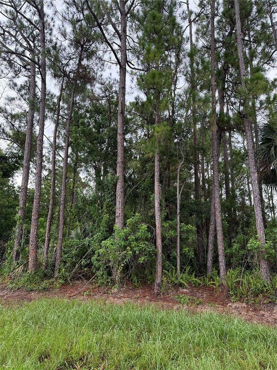 0.23 Acres of Residential Land for Sale in Palm Bay, Florida
