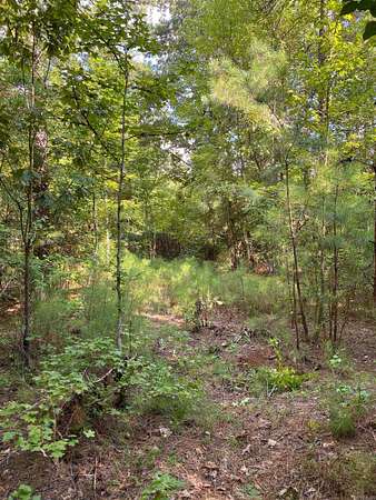 16 Acres of Recreational & Residential Land for Sale in Camden, Arkansas
