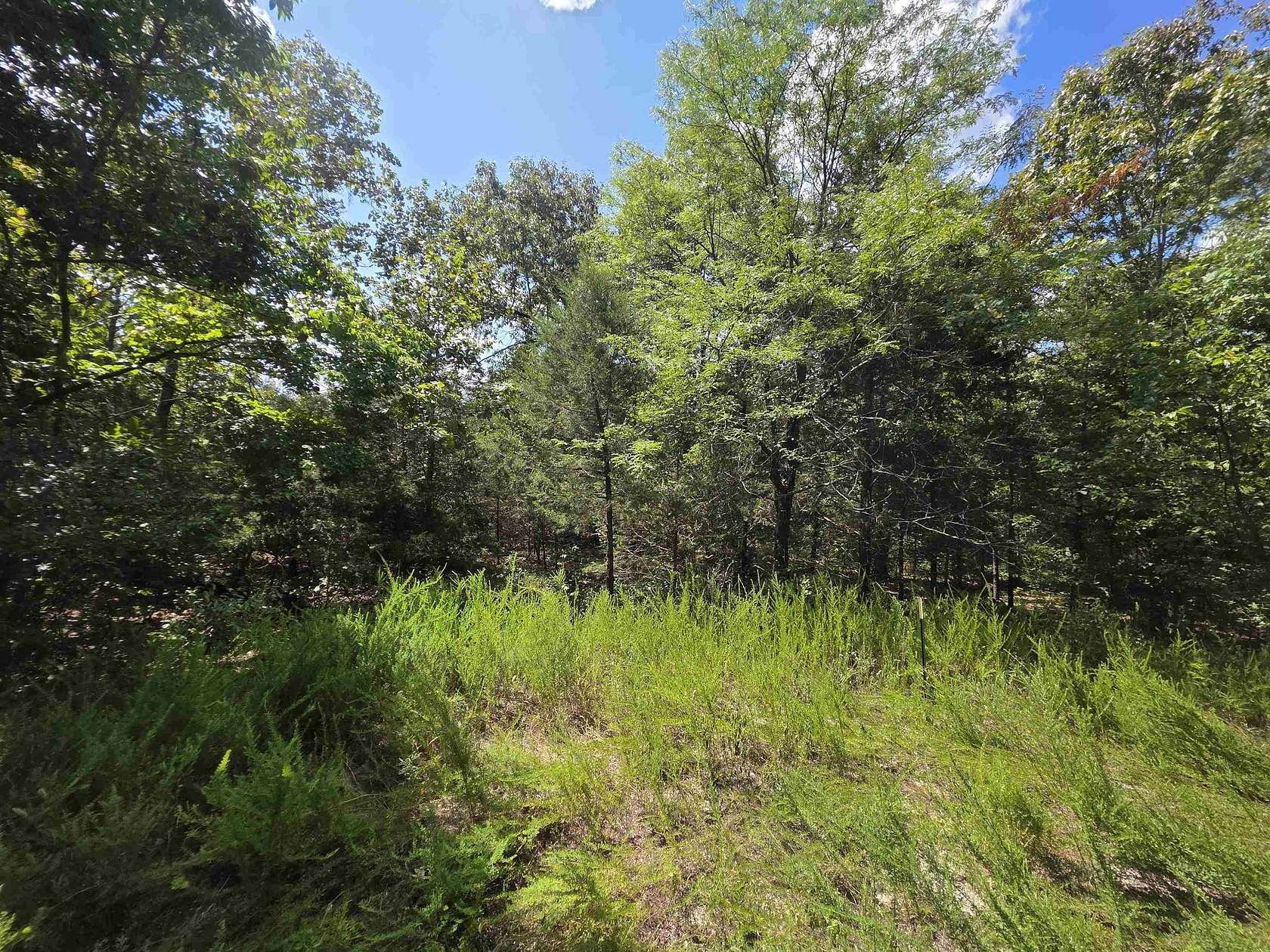 0.29 Acres of Residential Land for Sale in Cherokee Village, Arkansas