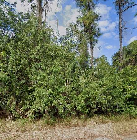 0.26 Acres of Residential Land for Sale in Lehigh Acres, Florida