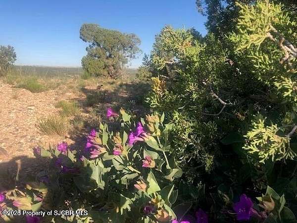 160 Acres of Land for Sale in Flora Vista, New Mexico