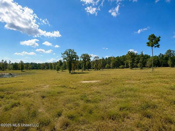 5 Acres of Residential Land for Sale in Leakesville, Mississippi