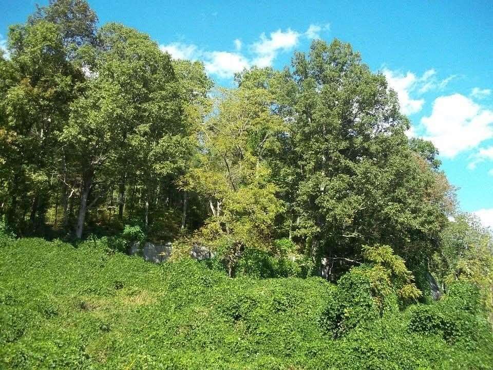 65 Acres of Recreational & Residential Land for Sale in Dewitt, Kentucky