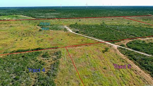 43.1 Acres of Land for Sale in Bruni, Texas